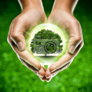 Возобновляемые природные ресурсы