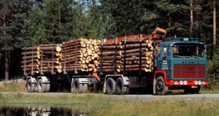 Водительские права на лесовоз – что требуется? - 2