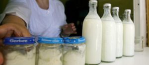 Что продают на молочной кухне в Харькове