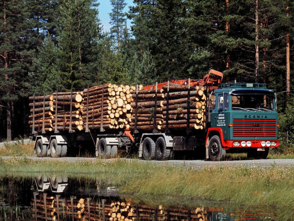 Водительские права на лесовоз – что требуется? -