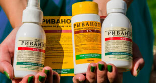 Помощь при укусах насекомых -